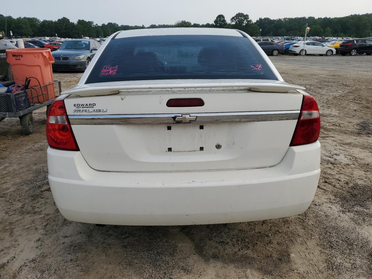 2005 Chevrolet Malibu VIN: 1G1ZS52F15F188718 Lot: 53341084