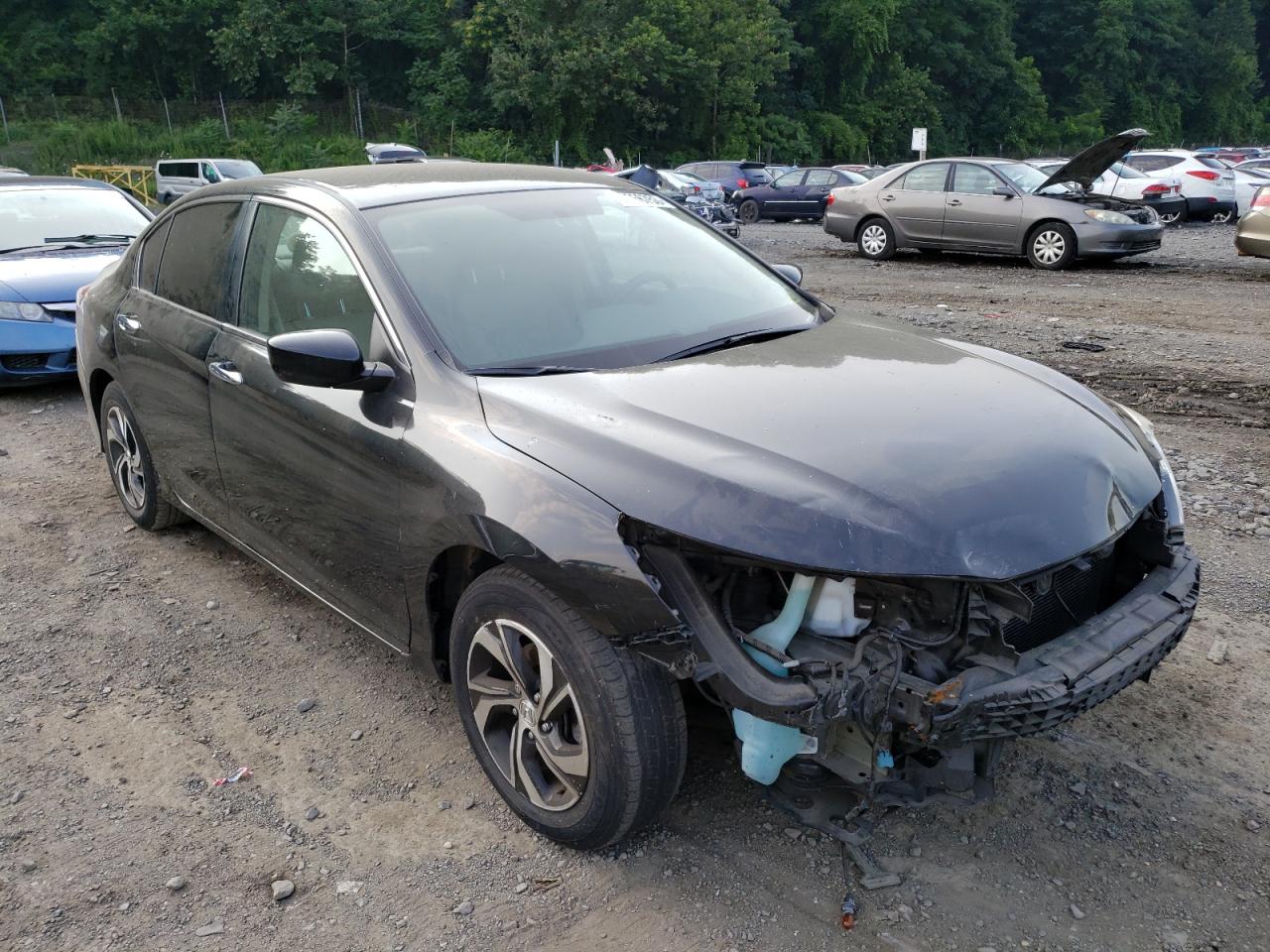 2016 Honda Accord Lx VIN: 1HGCR2F31GA188842 Lot: 60266753