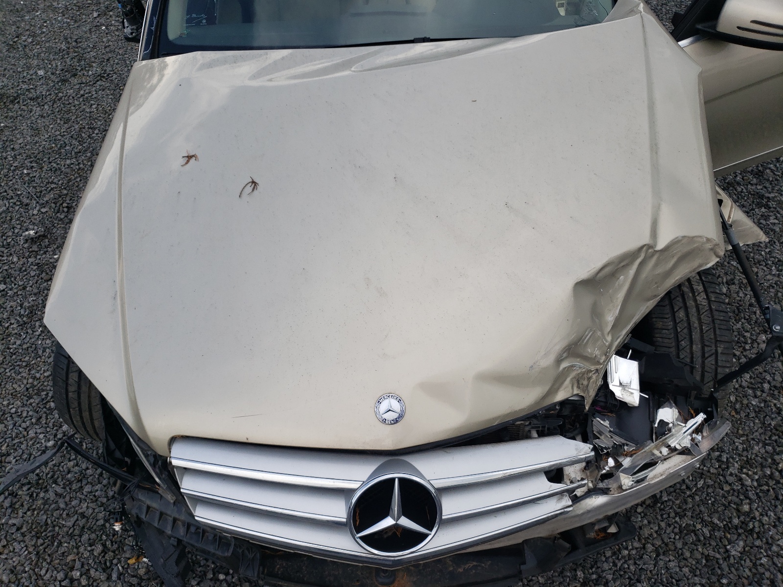 WDDGF5EB8AR101343 2010 Mercedes-Benz C 300