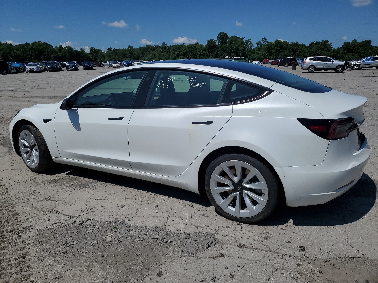 5YJ3E1EA4NF191789 2022 Tesla Model 3