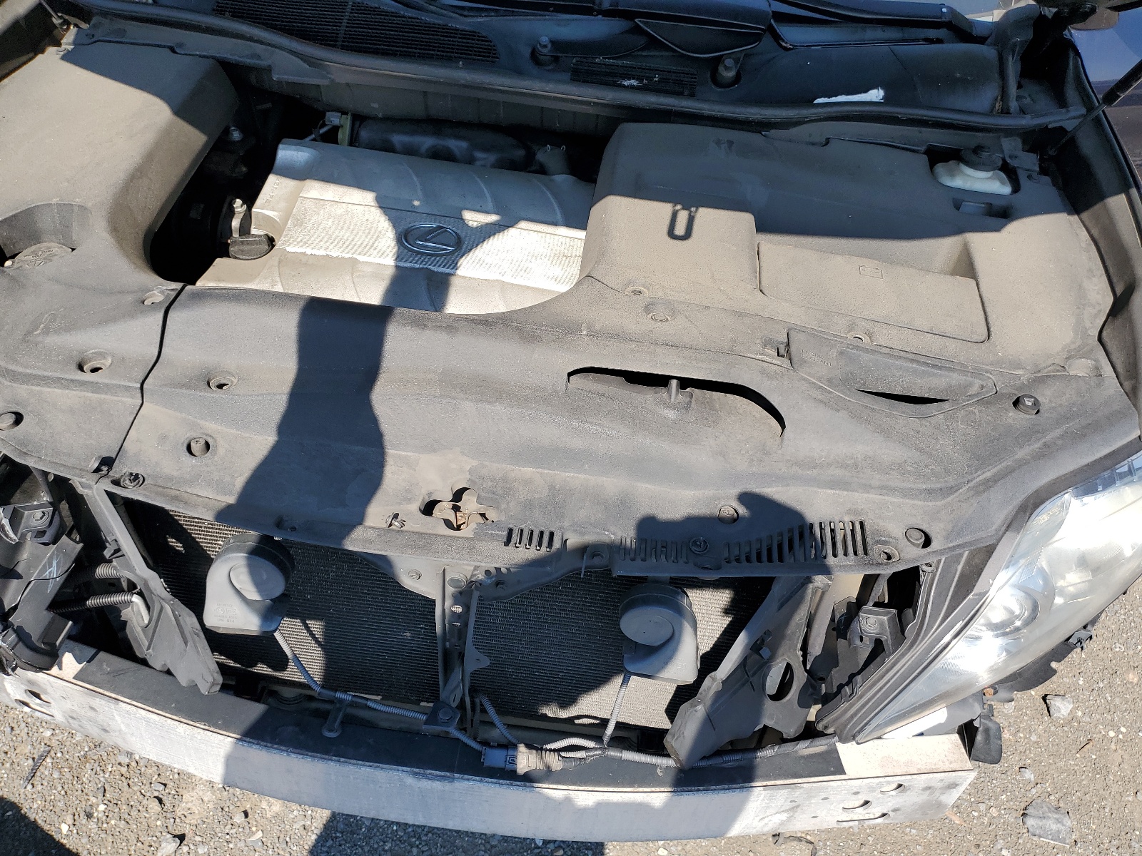 2T2BK1BA0AC068770 2010 Lexus Rx 350