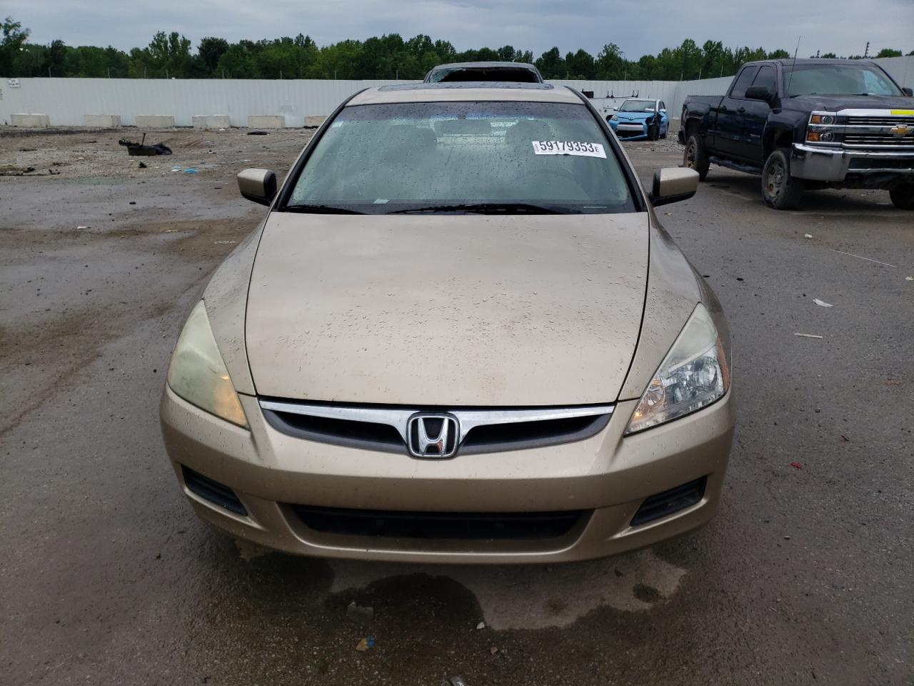 2007 Honda Accord Ex VIN: 1HGCM66517A070295 Lot: 59179353