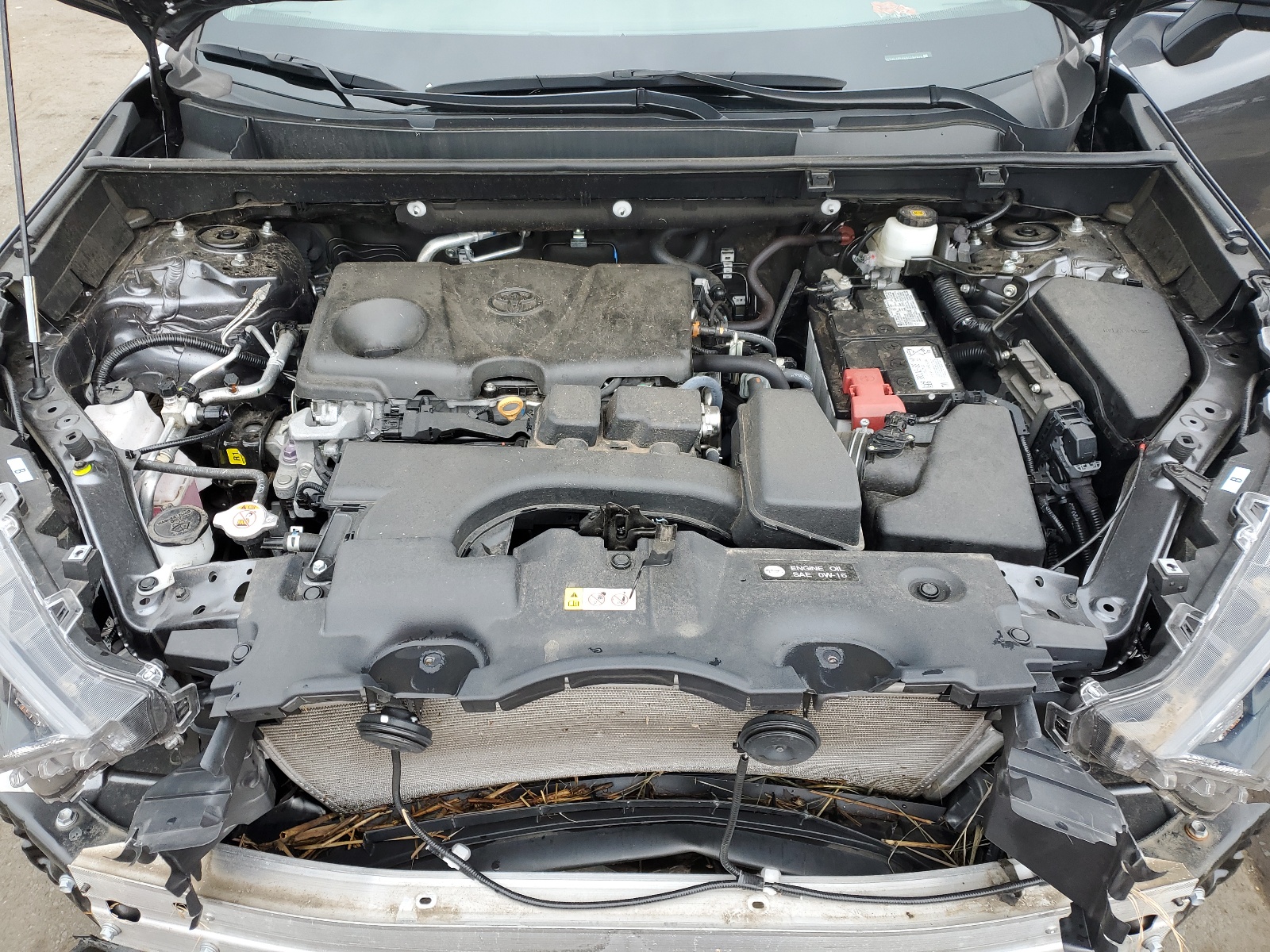 2T3F1RFV6NC282826 2022 Toyota Rav4 Le