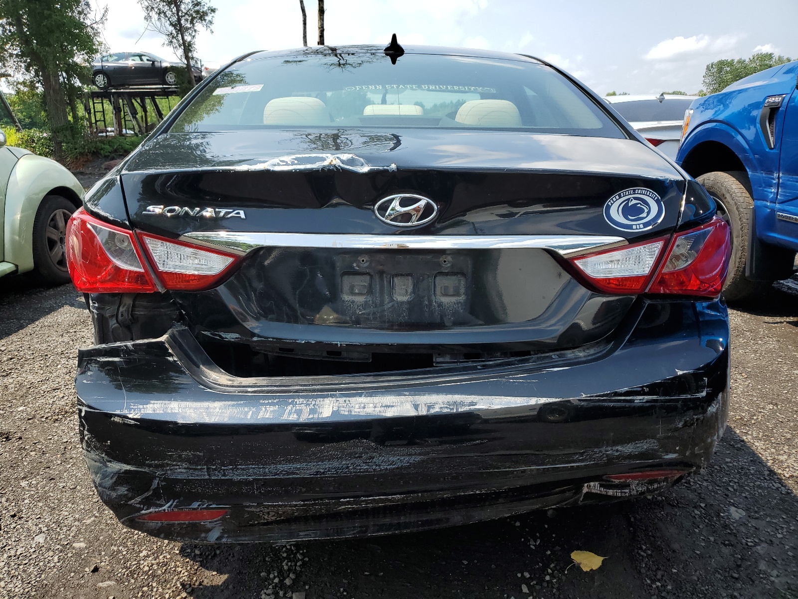 5NPEB4AC3DH737721 2013 Hyundai Sonata Gls