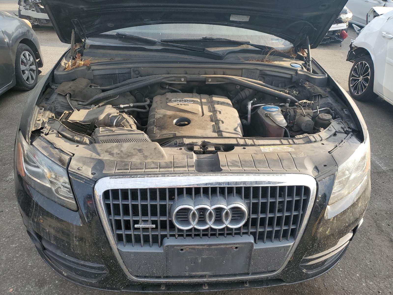 WA1LFAFP0BA005003 2011 Audi Q5 Premium Plus