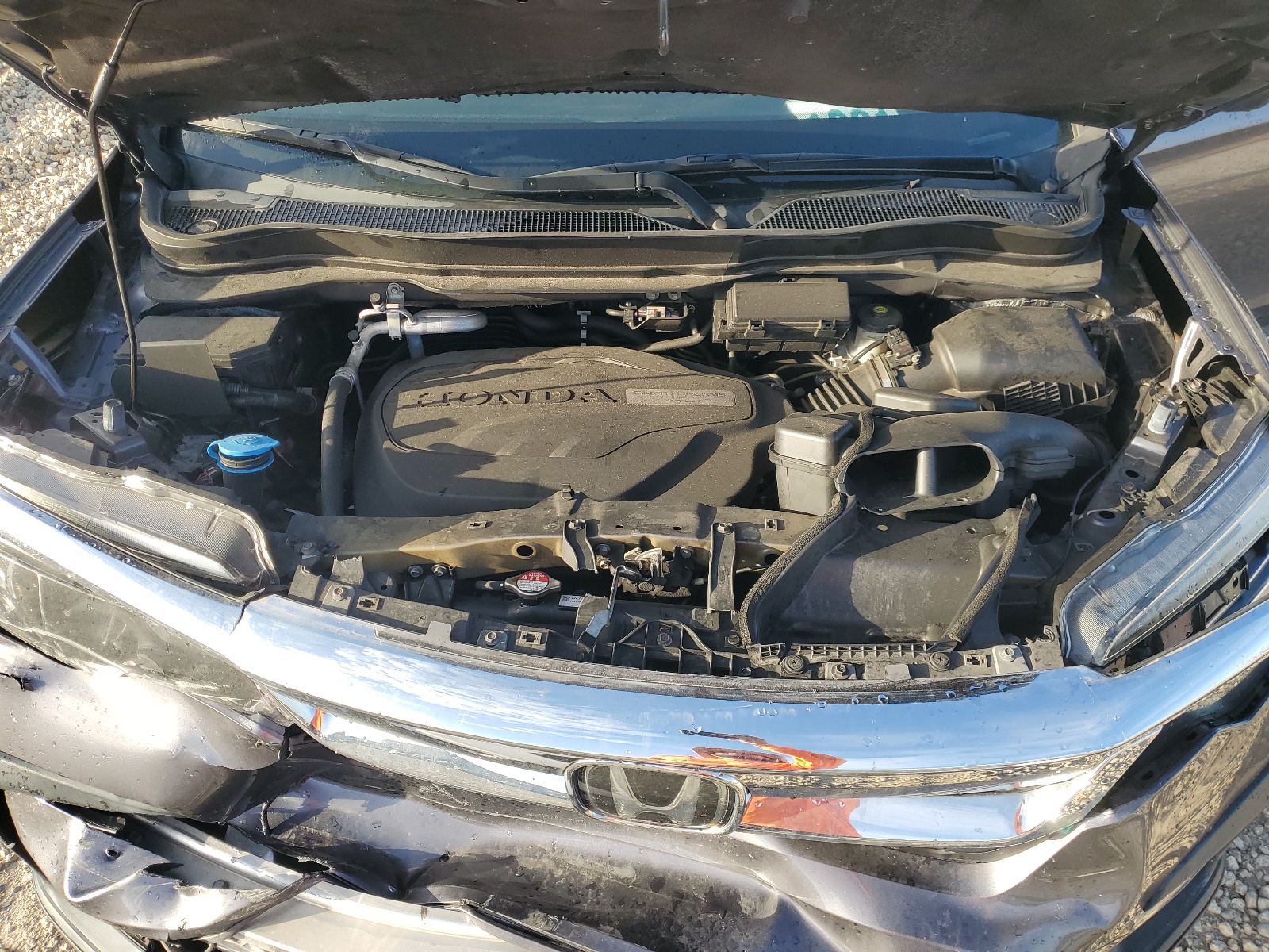 5FNYF5H50KB038539 2019 Honda Pilot Exl