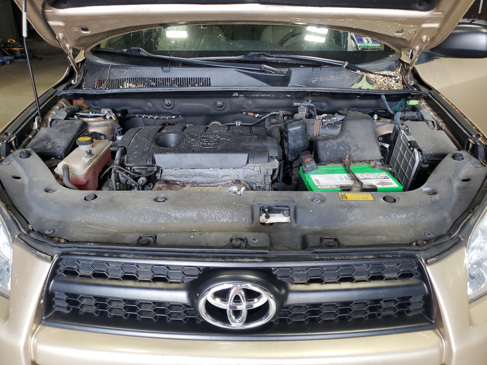 2T3BF4DV8BW108644 2011 Toyota Rav4