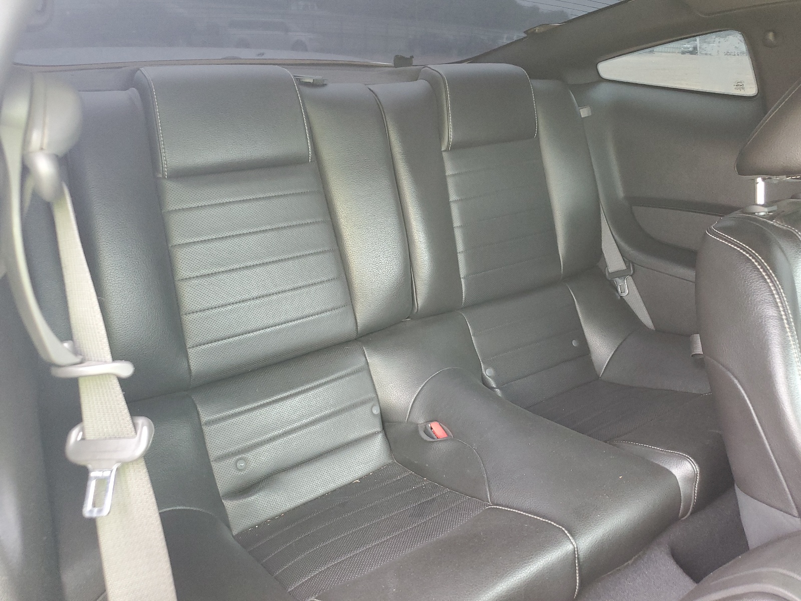 1ZVBP8ANXA5101769 2010 Ford Mustang