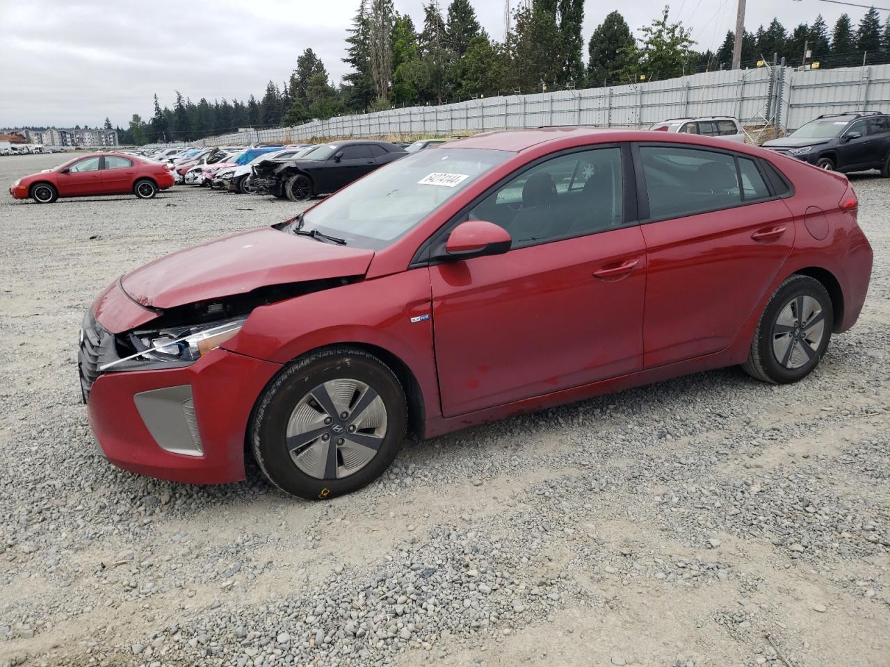 2019 Hyundai Ioniq Blue VIN: KMHC65LC4KU163756 Lot: 64274144