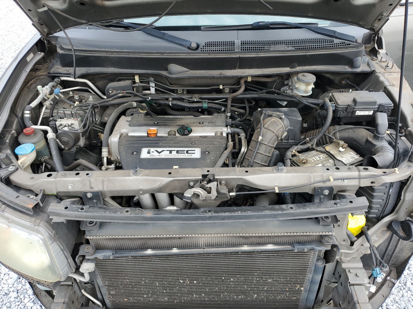 5J6YH18988L013457 2008 Honda Element Sc