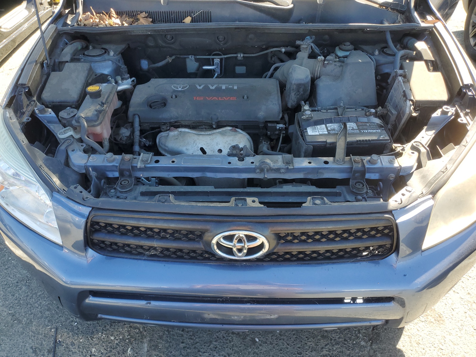 JTMBD33V086062450 2008 Toyota Rav4