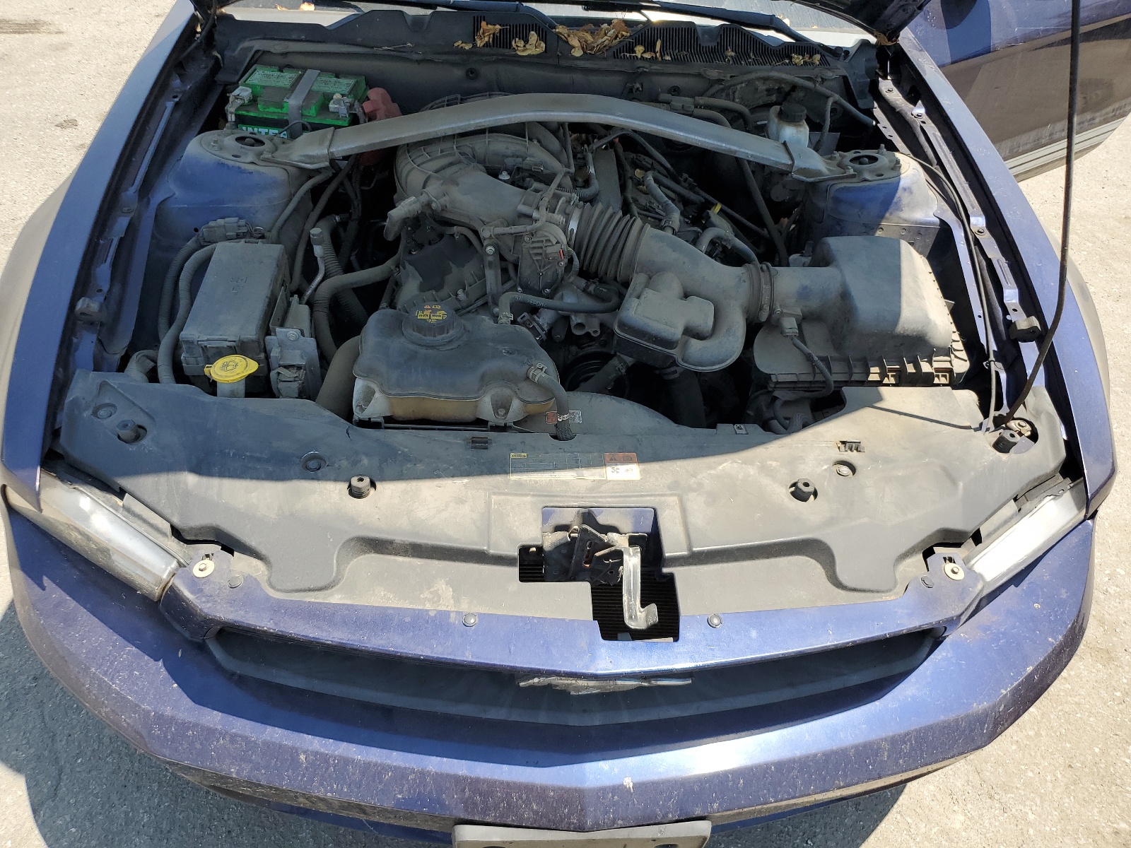 1ZVBP8EM9C5282559 2012 Ford Mustang