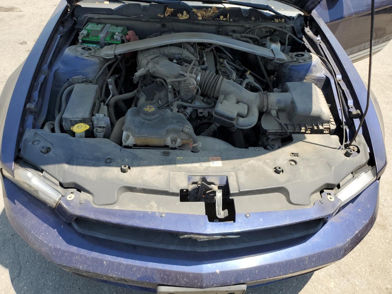 2012 Ford Mustang VIN: 1ZVBP8EM9C5282559 Lot: 64166264