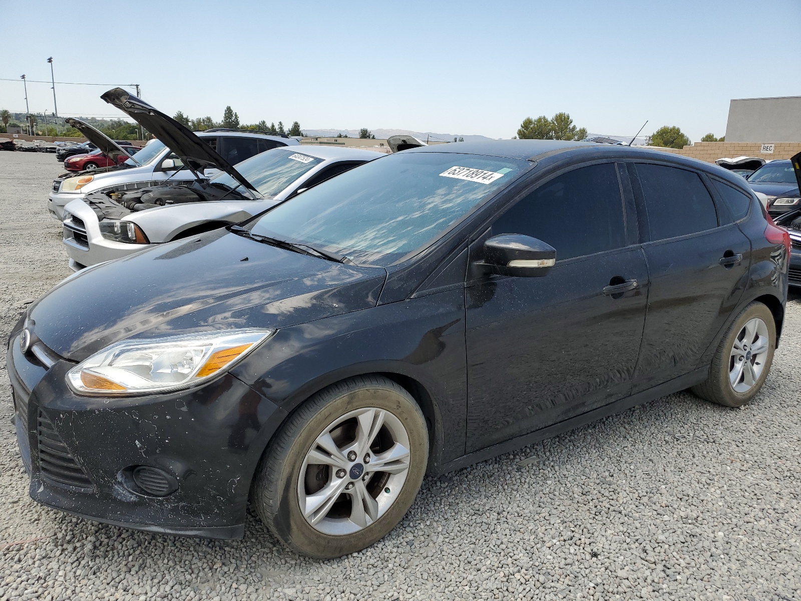 2014 Ford Focus Se vin: 1FADP3K20EL185305