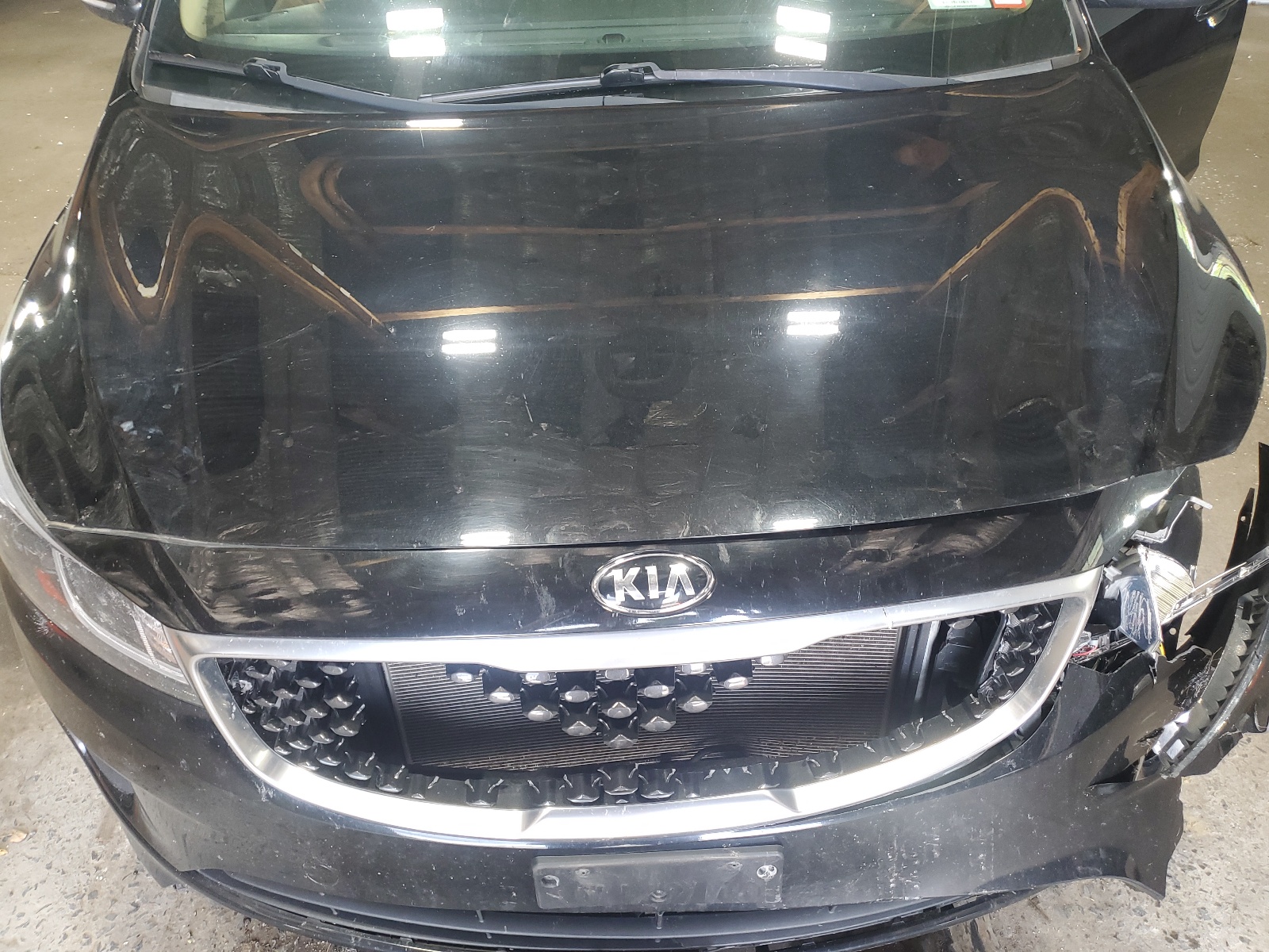 KNDMB5C16G6113441 2016 Kia Sedona Lx