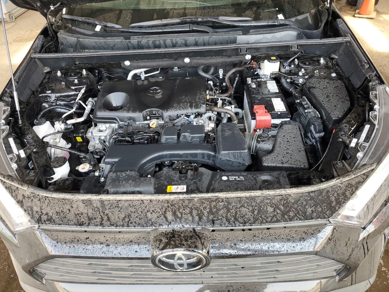 2024 Toyota Rav4 Xle VIN: 2T3W1RFV0RC267843 Lot: 64899084