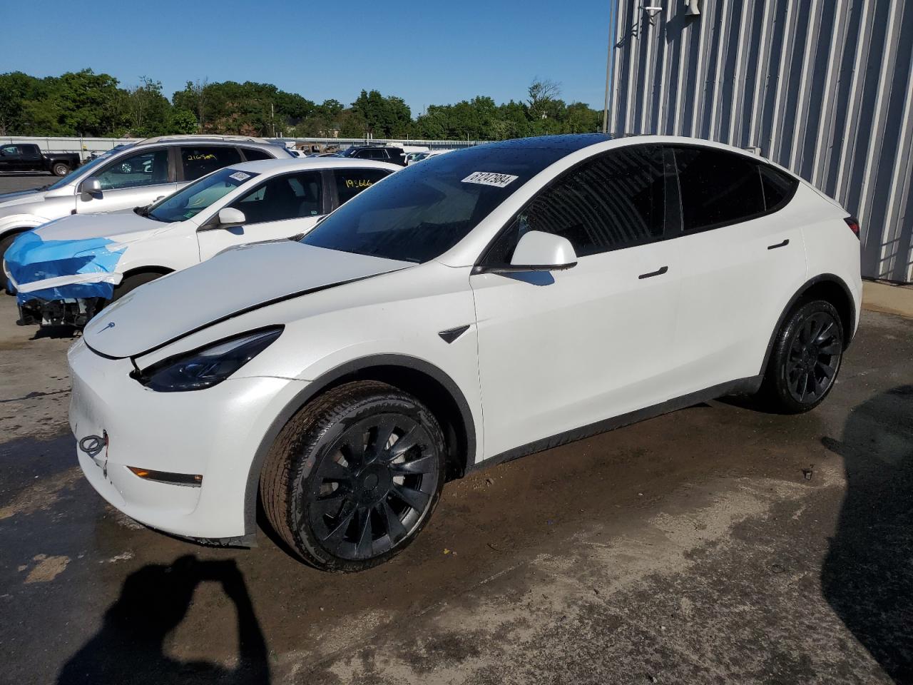 7SAYGDEE7PF705841 2023 TESLA MODEL Y - Image 1