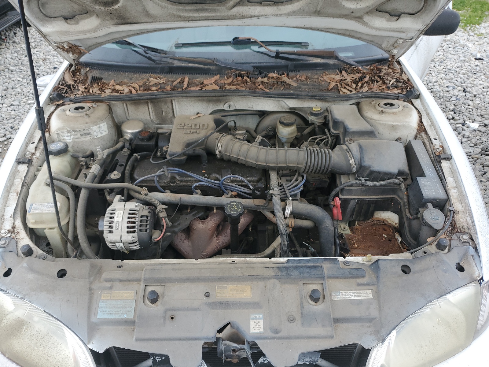 1G1JC1242Y7296653 2000 Chevrolet Cavalier