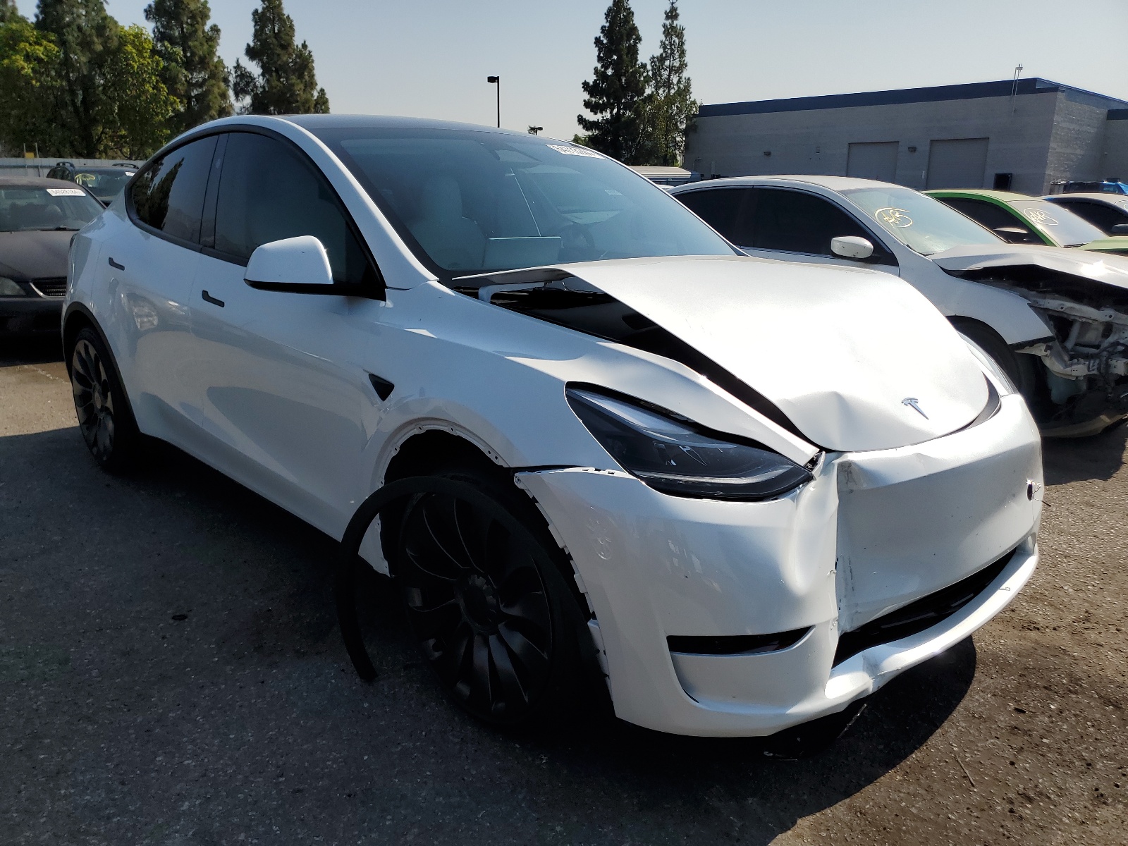 7SAYGDEF2RF117616 2024 Tesla Model Y