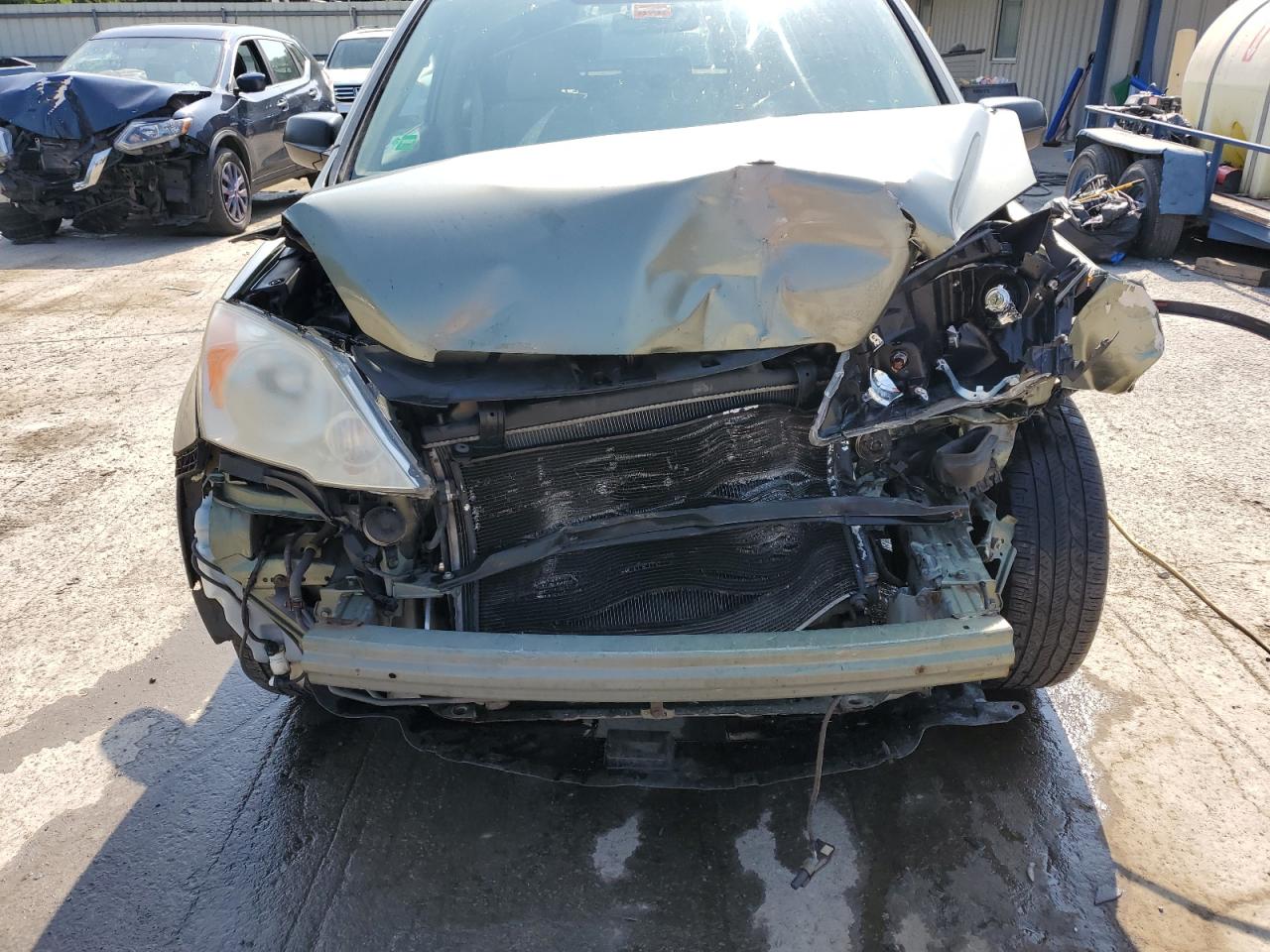 2007 Honda Cr-V Ex VIN: JHLRE38597C031396 Lot: 61820404