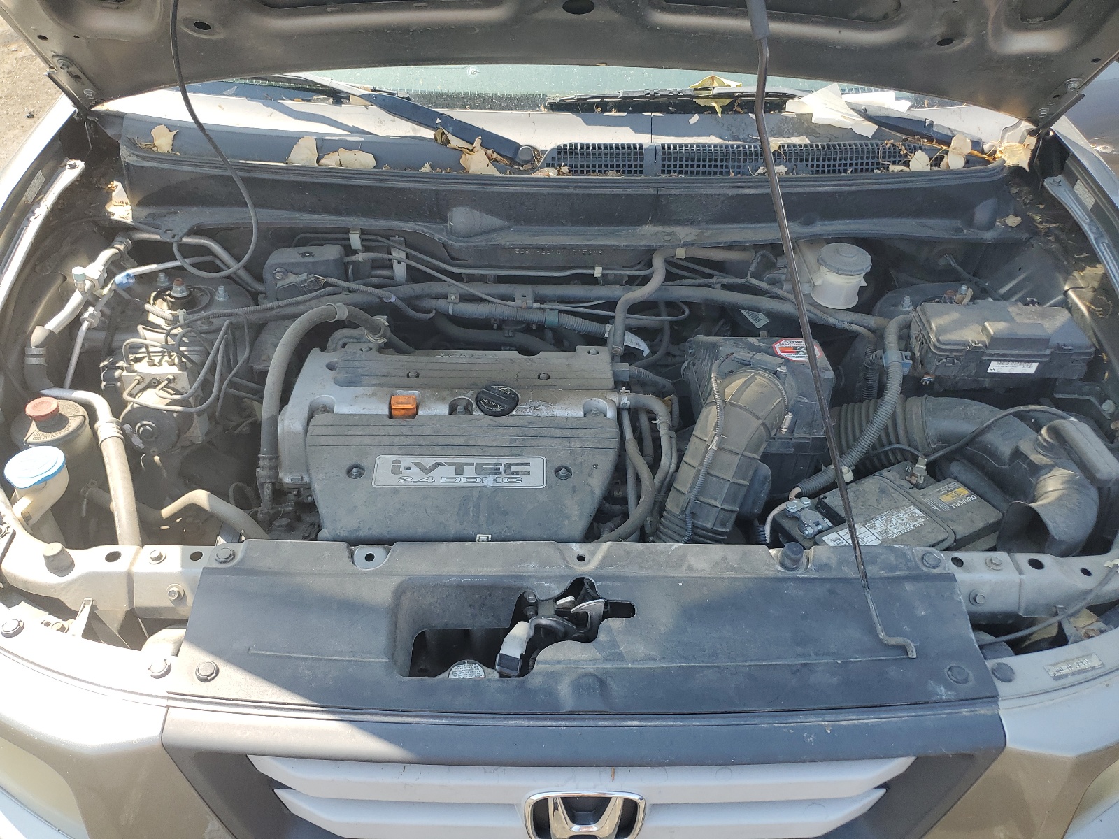 5J6YH28787L015308 2007 Honda Element Ex