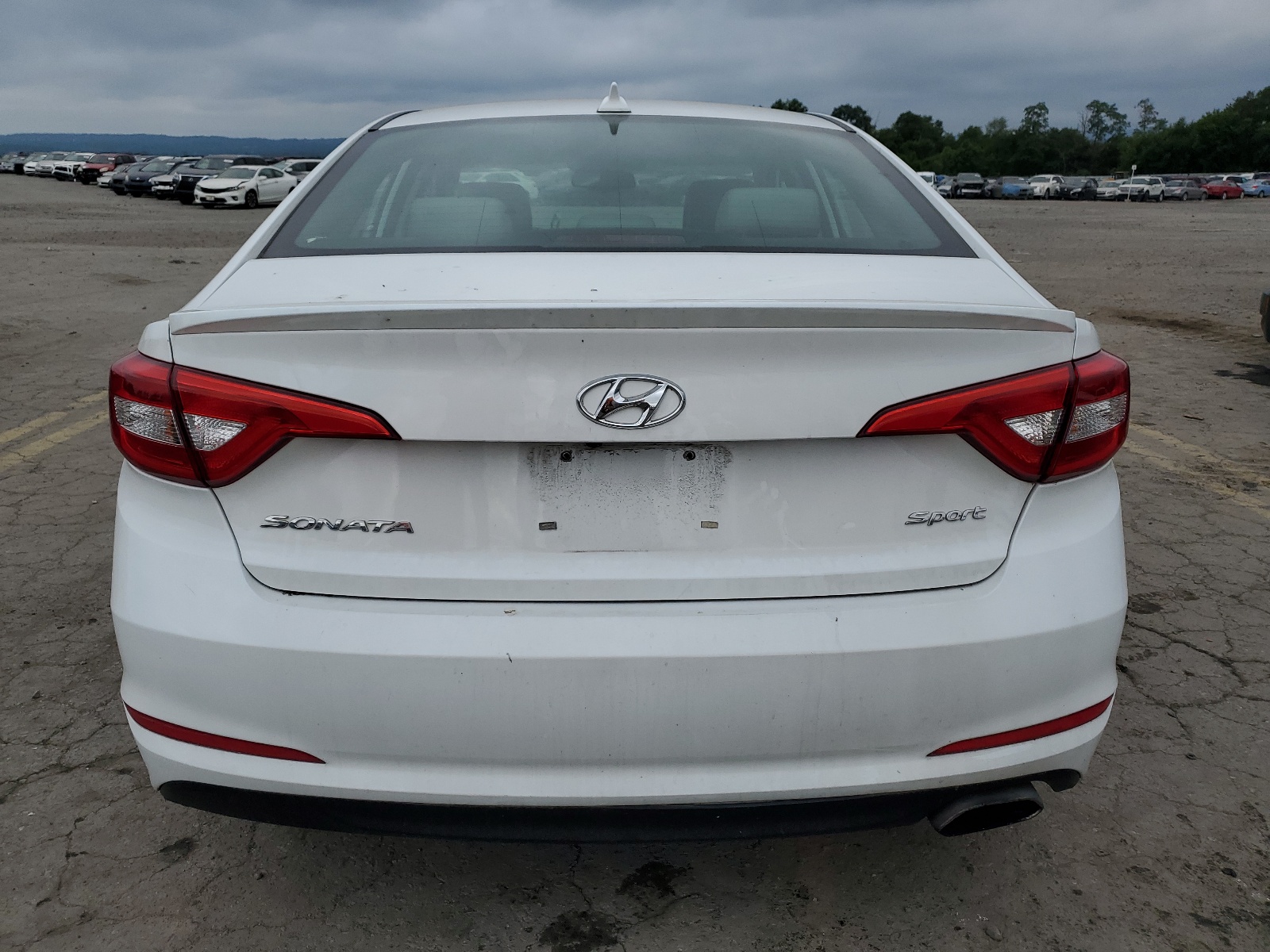 5NPE24AFXFH253378 2015 Hyundai Sonata Se