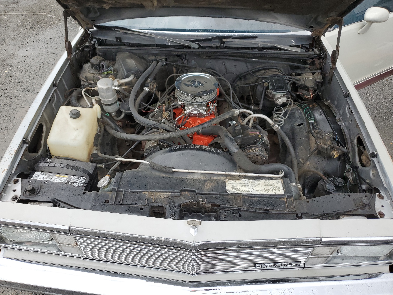 1GCCW80J3BR443695 1981 Chevrolet El Camino