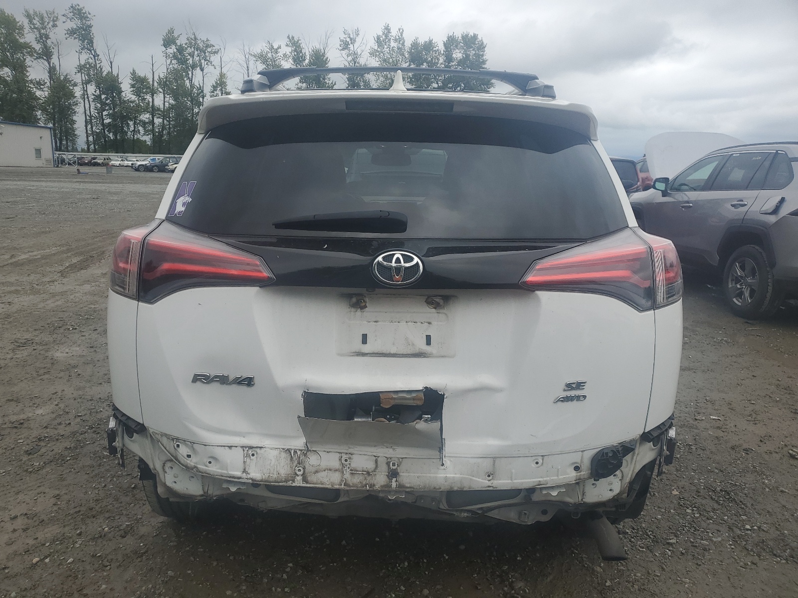 2T3JFREV9GW510977 2016 Toyota Rav4 Se