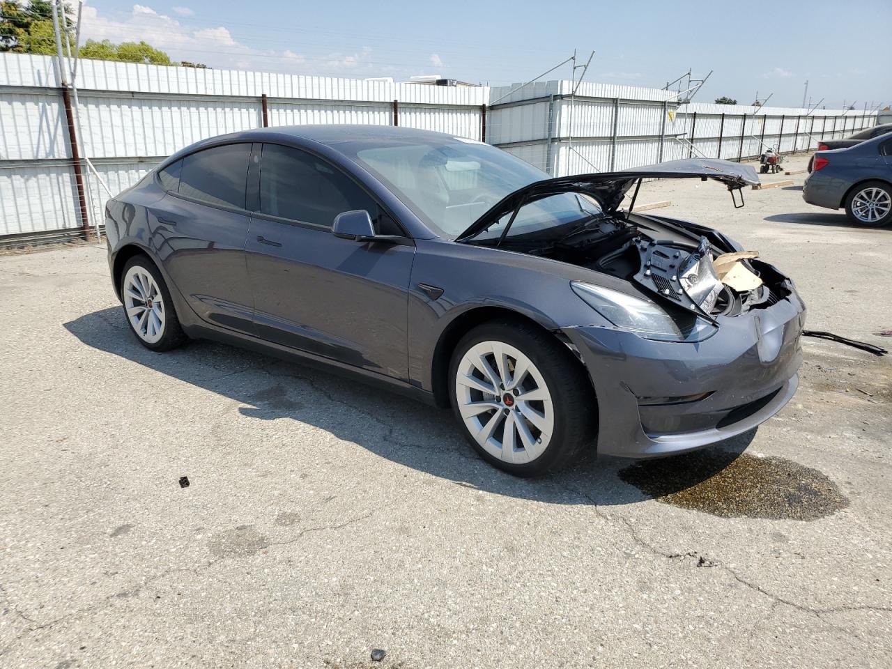 2023 Tesla Model 3 VIN: 5YJ3E1EA5PF569119 Lot: 64595514