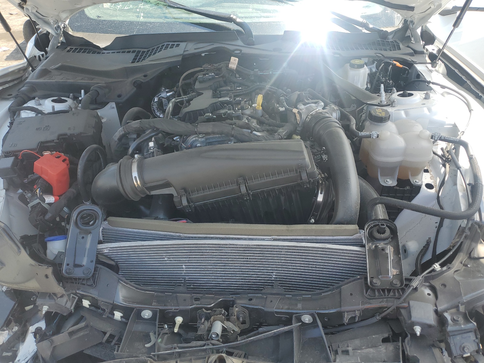 1FAGP8UH2R5127525 2019 Ford Mustang