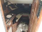 1982 'Other Boat' Boat للبيع في Charles City، VA - Minor Dent/Scratches