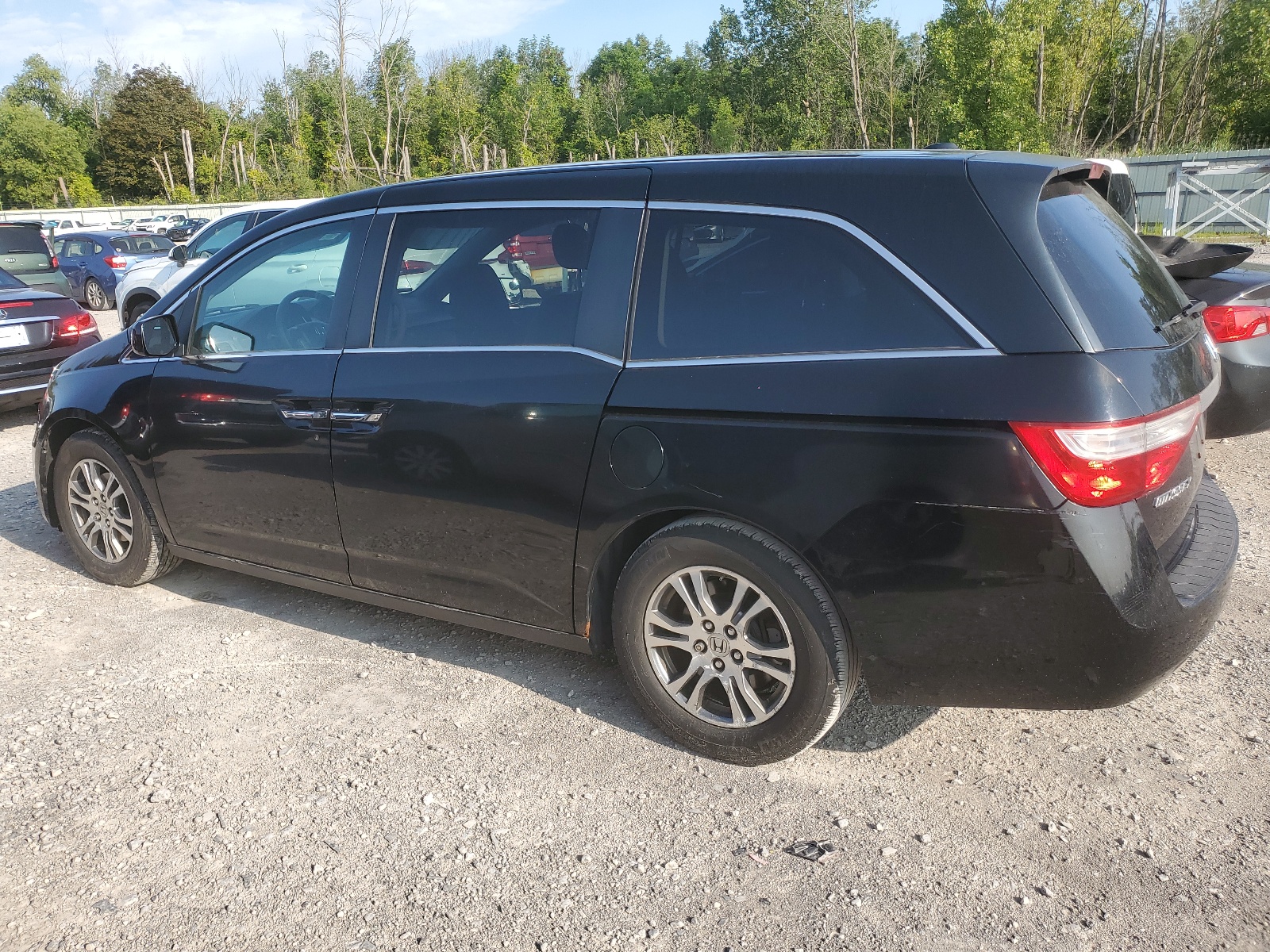 2013 Honda Odyssey Exl vin: 5FNRL5H67DB075046