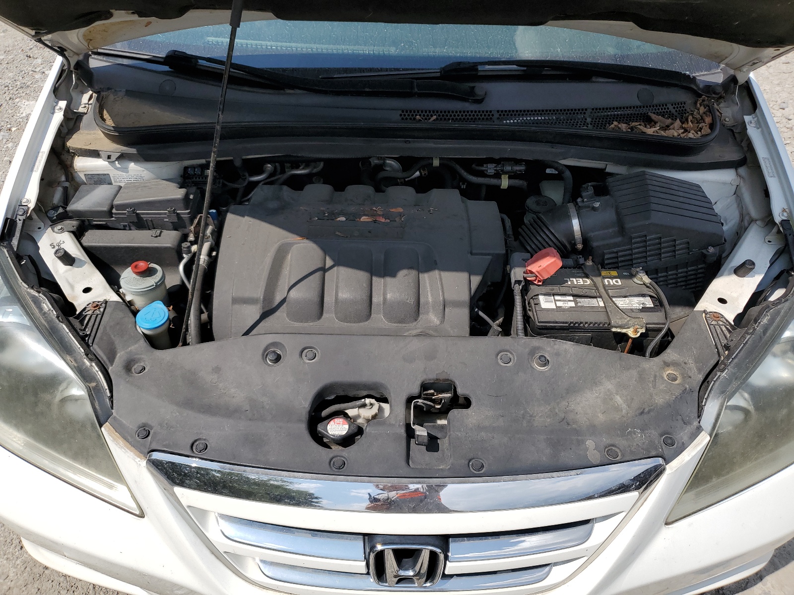 5FNRL38417B141694 2007 Honda Odyssey Ex