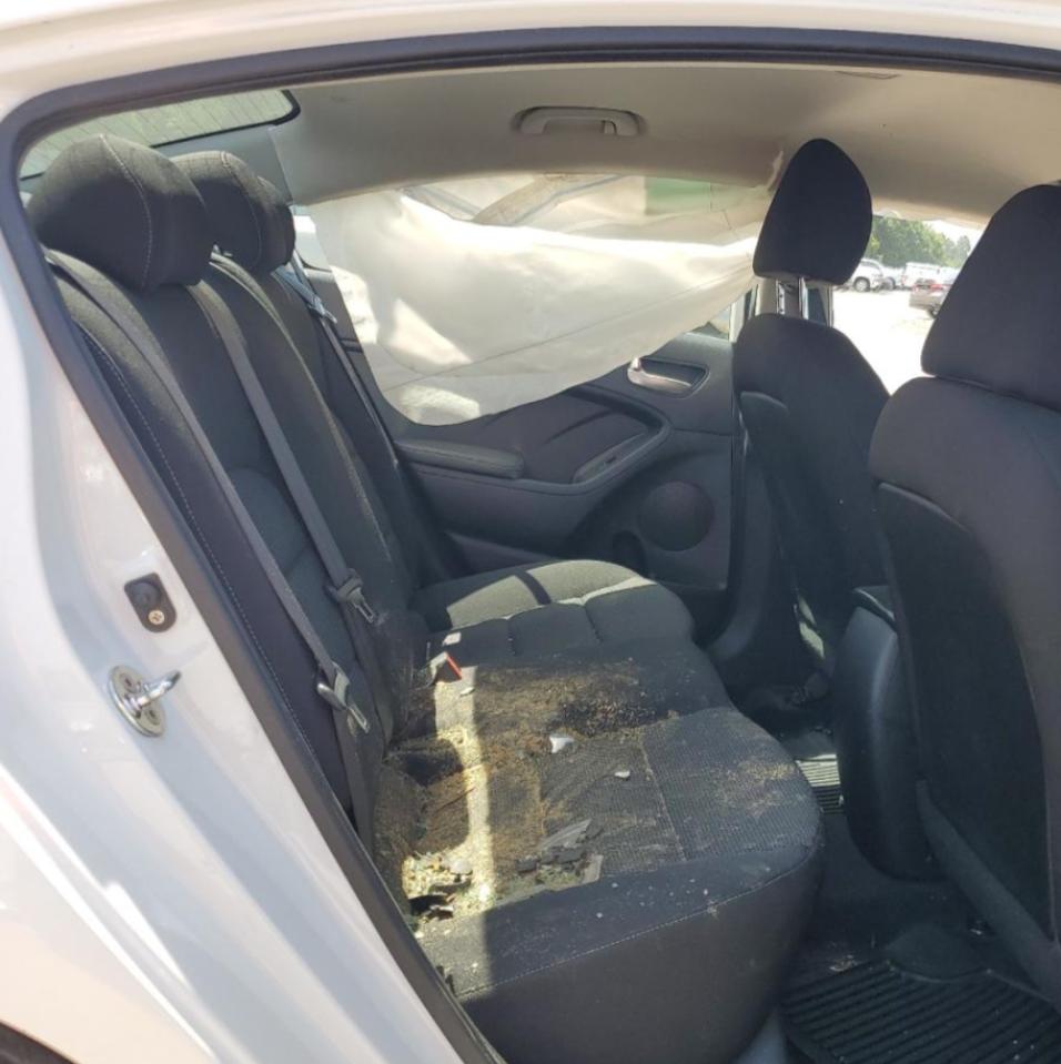 2017 Kia Forte Lx VIN: 3KPFK4A79HE041589 Lot: 63413864