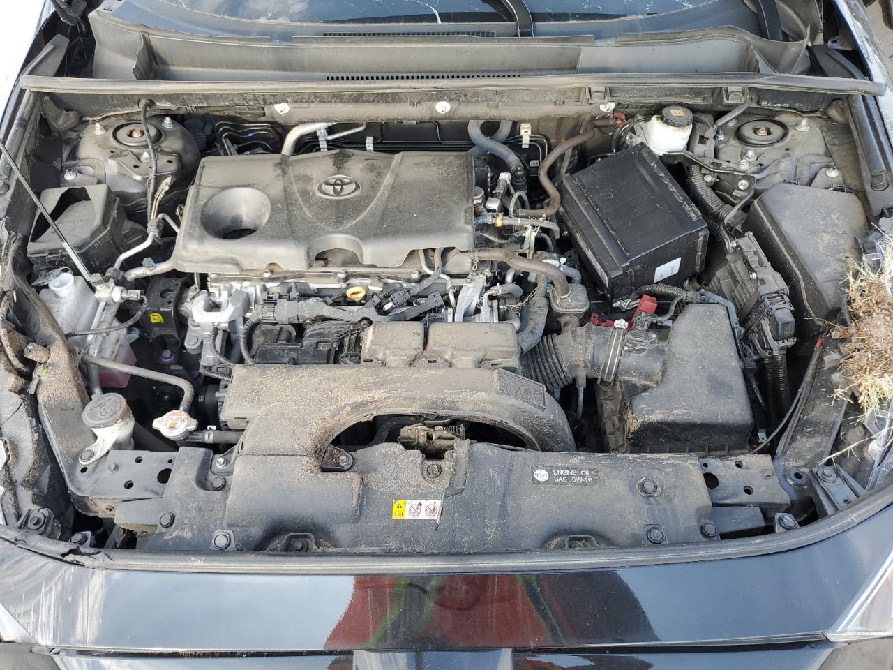 2020 Toyota Rav4 Xle VIN: 2T3W1RFV4LW087254 Lot: 63875944