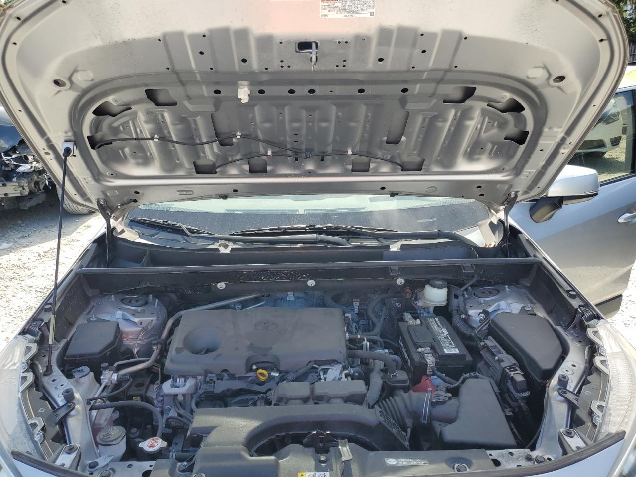 2019 Toyota Rav4 Xle VIN: JTMW1RFV9KD011511 Lot: 61493994