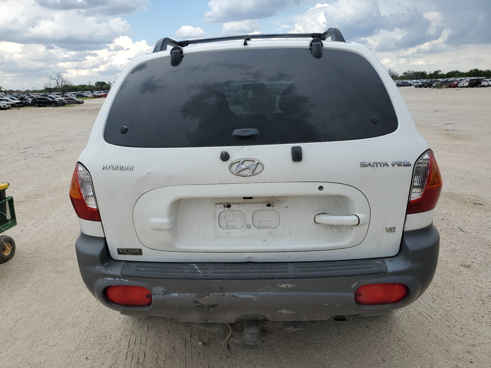KM8SC13D54U839091 2004 Hyundai Santa Fe Gls