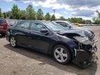 4T1BF1FK3DU****** Salvage and Wrecked 2013 Toyota Camry in Connecticut State