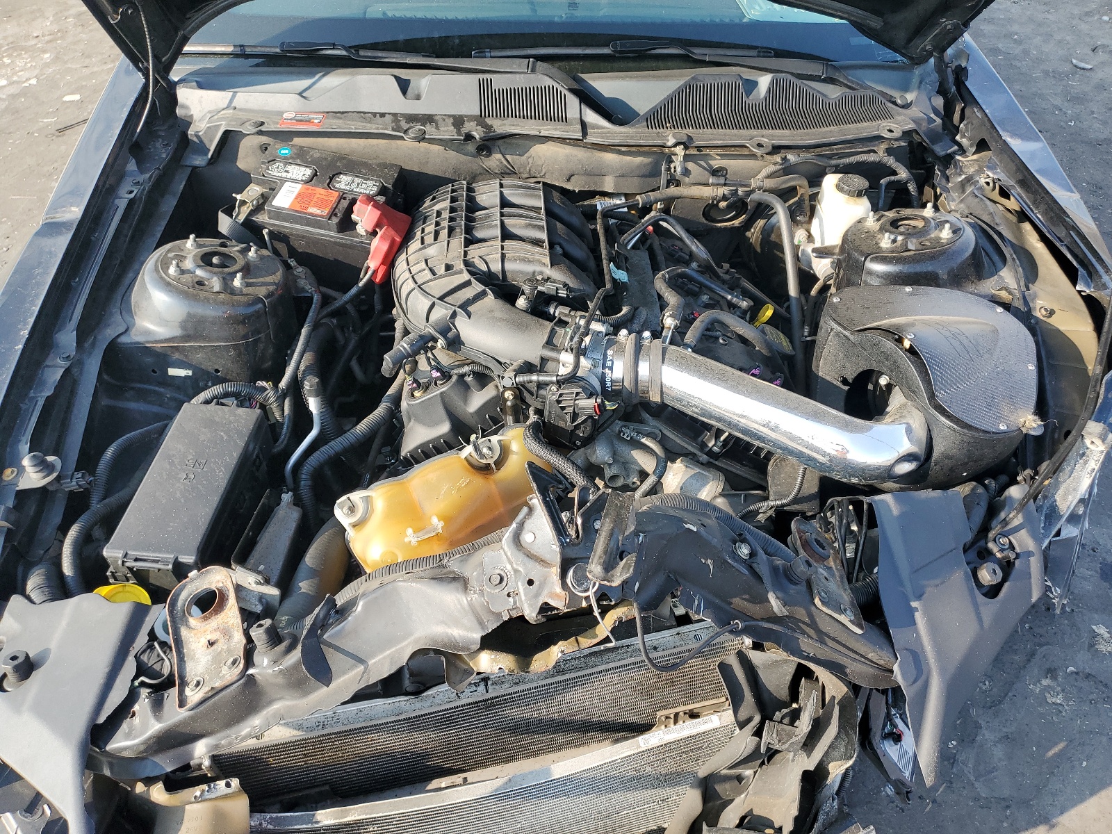 1ZVBP8AMXD5270332 2013 Ford Mustang