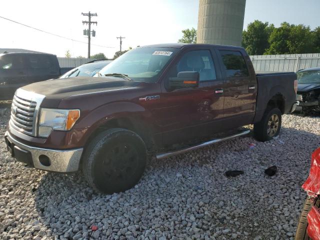 1FTFW1EV5AFD53948 | 2010 Ford f150 supercrew