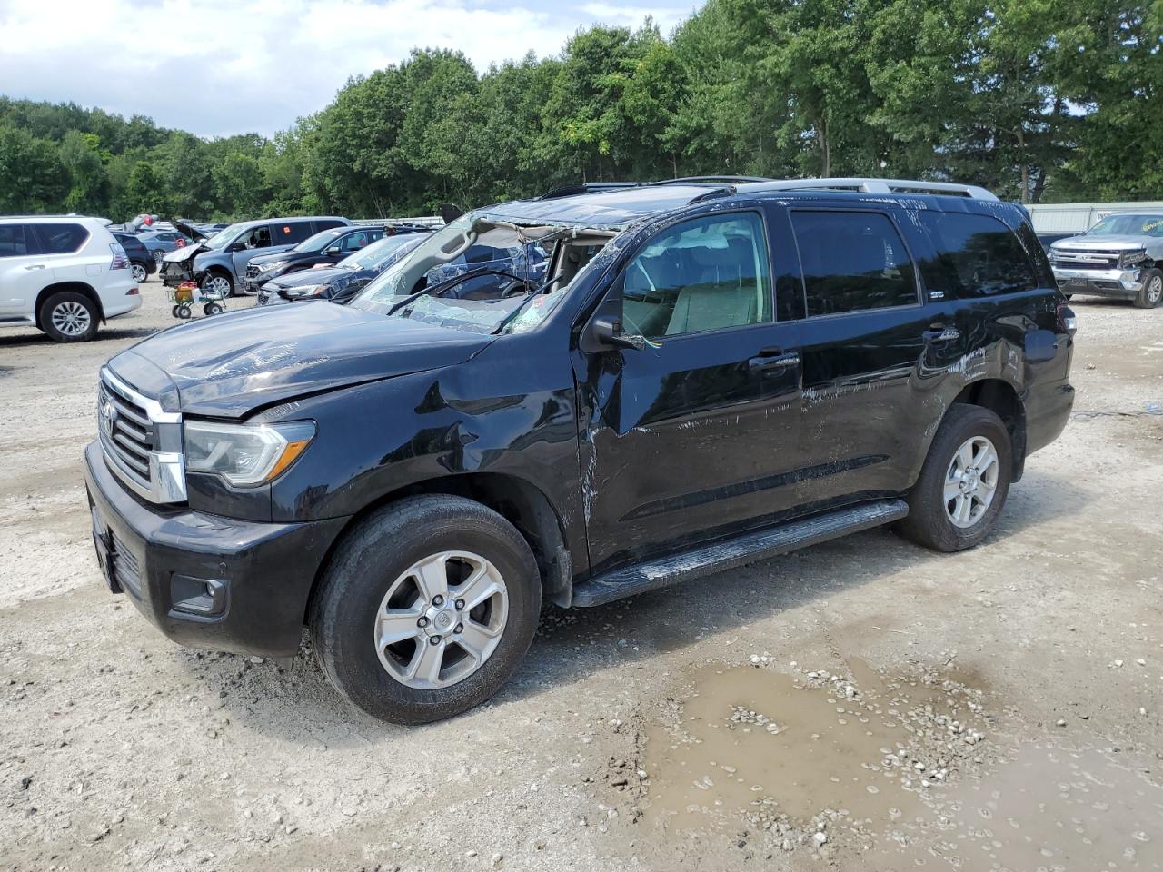 2019 Toyota Sequoia Sr5 VIN: 5TDBY5G14KS173520 Lot: 63435404