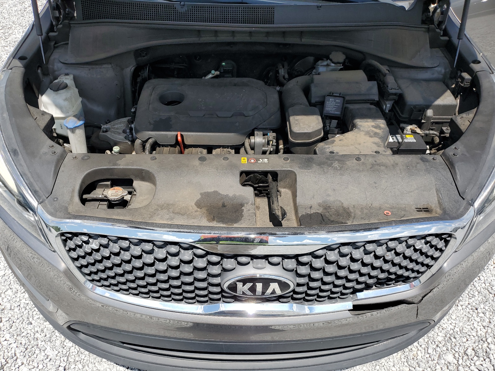 2018 Kia Sorento Lx vin: 5XYPG4A30JG406527