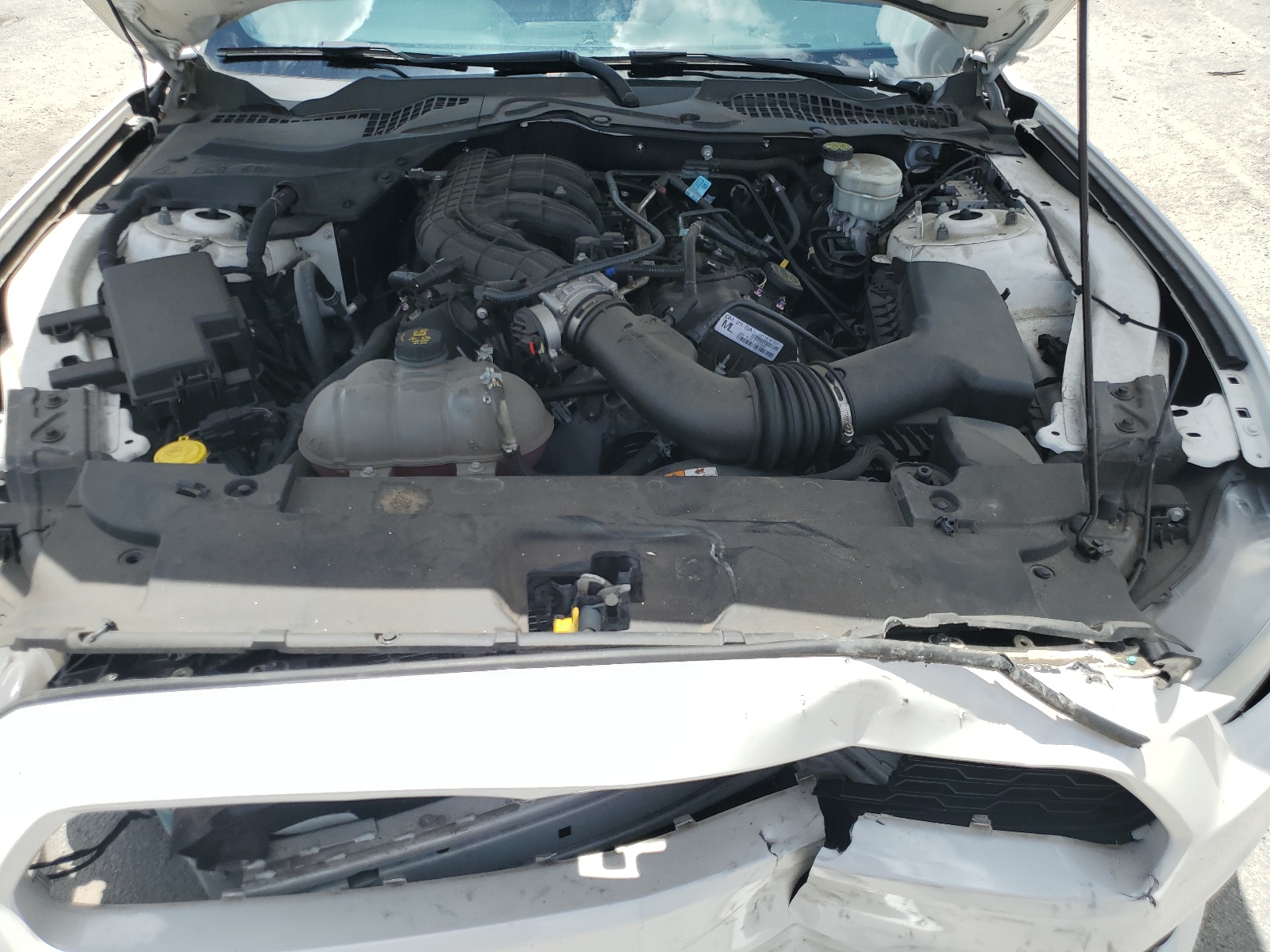 1FA6P8AM2H5312203 2017 Ford Mustang