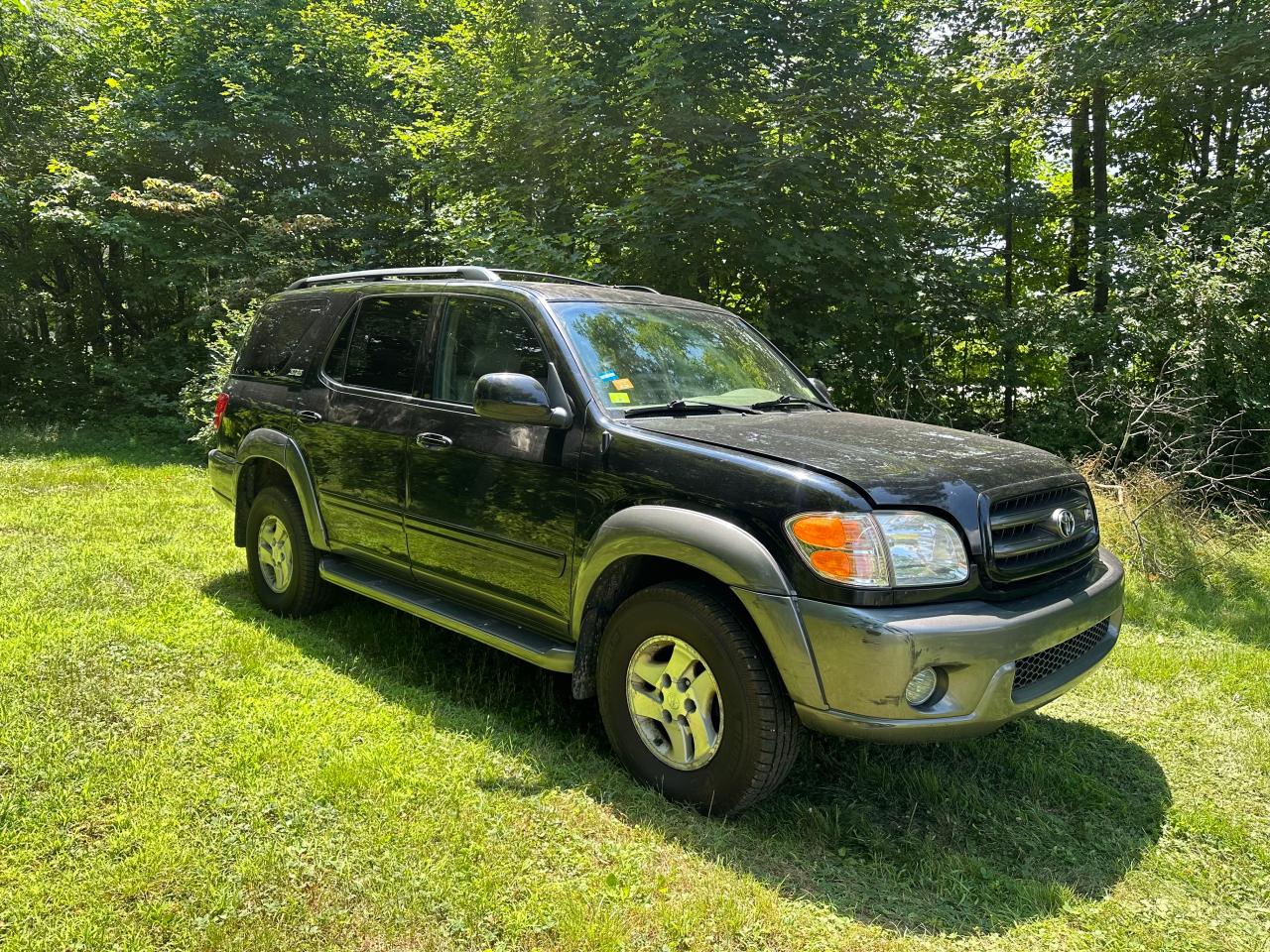 2004 Toyota Sequoia Sr5 VIN: 5TDBT44A24S213979 Lot: 64372744