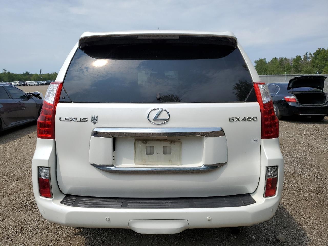 2010 Lexus Gx 460 Premium VIN: JTJJM7FX4A5010389 Lot: 64204034