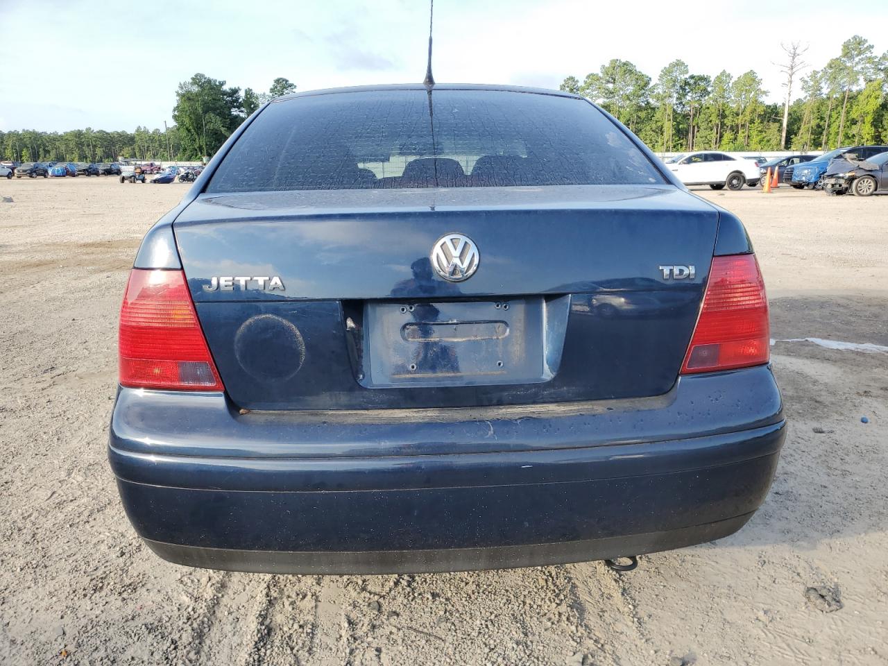 2002 Volkswagen Jetta Gls Tdi VIN: 3VWSP69M72M138404 Lot: 65105534