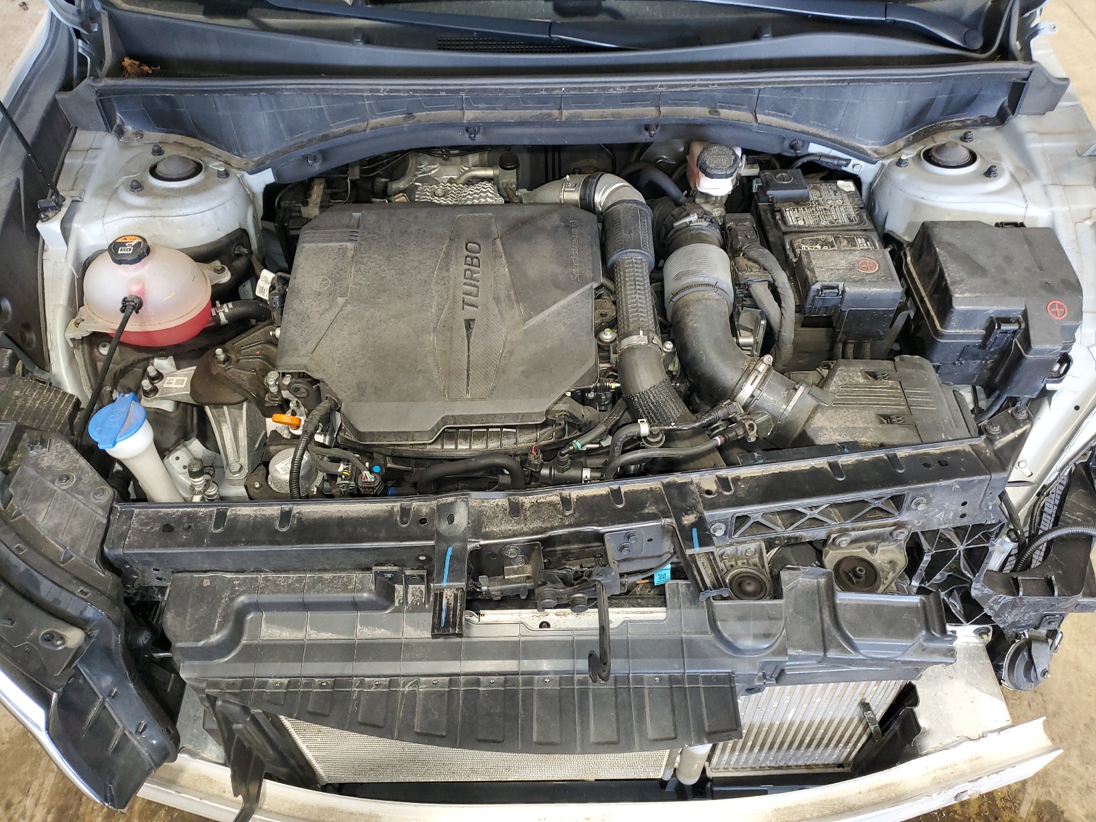 5XYRH4LF4NG076894 2022 Kia Sorento Ex