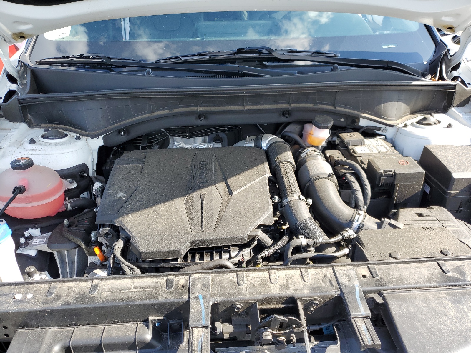 5XYRKDLFXNG076979 2022 Kia Sorento Sx