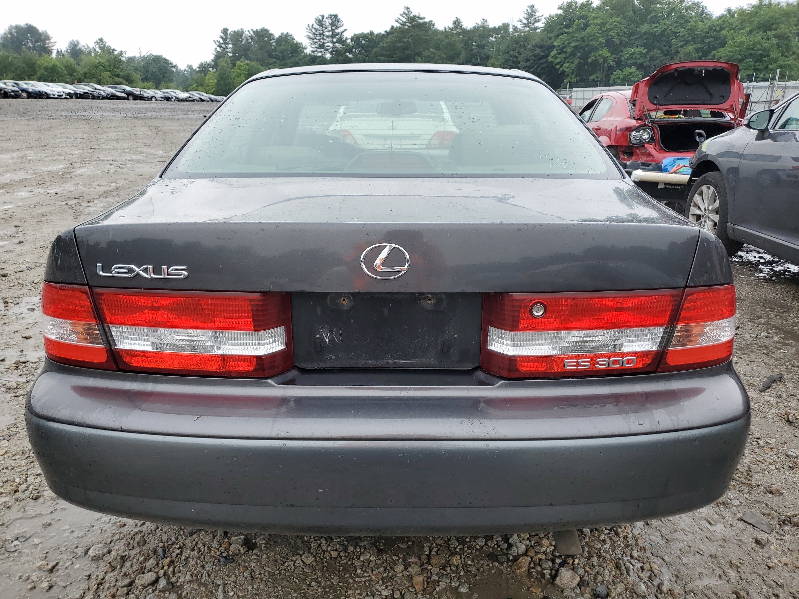 JT8BF28G910341353 2001 Lexus Es 300