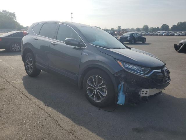 2022 HONDA CR-V EXL 5J6RT6H81NL022620  62161874